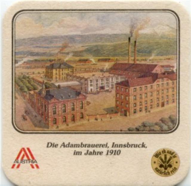 innsbruck t-a adam meister 3b (quad185-adambru 1910) 
